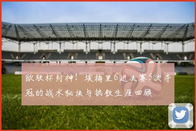 欧联杯封神!埃梅里6进决赛5次夺冠的战术秘诀与执教生涯回顾