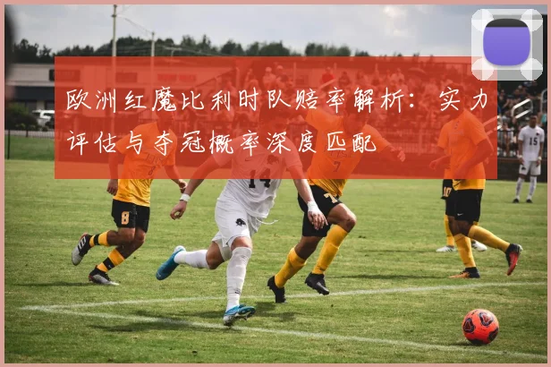 欧洲红魔比利时队赔率解析：实力评估与夺冠概率深度匹配