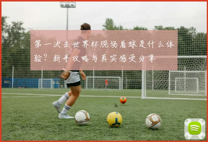 第一次去世界杯现场看球是什么体验？新手攻略与真实感受分享