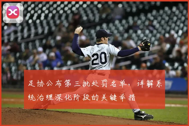 足协公布第三批处罚名单,详解系统治理深化阶段的关键举措